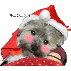 shiho_20220413215247