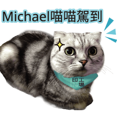 Cat Michael is here!