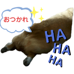 naopuun_20220414013740