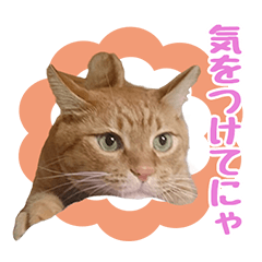 WAGAYANO 2NYAN' Sticker