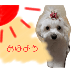 D_20220413233723