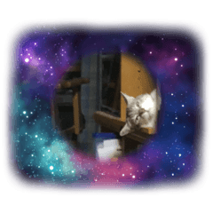 ayumi_20220413213449