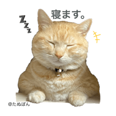 yun_20220413231402