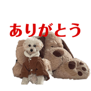 Chinami_20220414123740