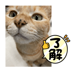 junko_20220414125304