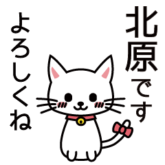 Kitahara Sticker for you