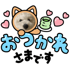 SATOSHI_20220413235201