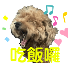 QQ的貼圖1