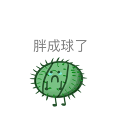 刺刺喵喵