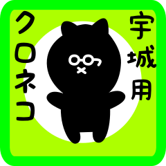 black cat sticker for ushiro