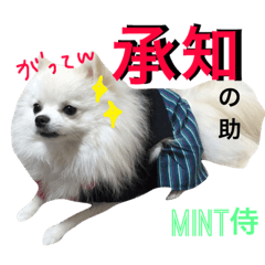 関西風【mint】ヒナちゃんフレンドシリーズ