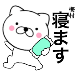 Name cat Umemura