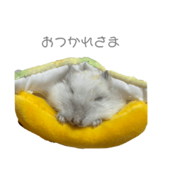 chie_20220414175348