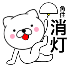 Name cat Uozumi