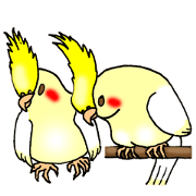 The Non-fly Bird
