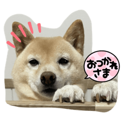 mizuki_20220414184004