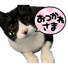 Aoi_20220414200209
