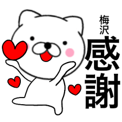 Name cat Umezawa