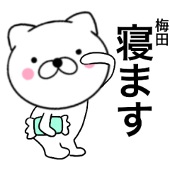 Name cat Umeda
