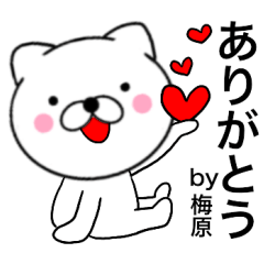 Name cat Umehara