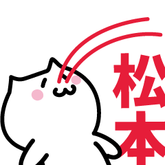 LAST NAME Sticker MATSUMOTO !!!
