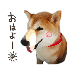 With Shiba Inu Real Ver.