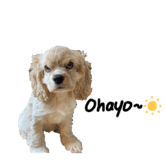 Mizuki_20220414205522