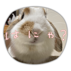 shiho_20220414205508