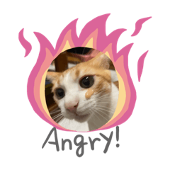 咪咪&小虎生活記