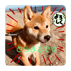 Arisa_20220415024108