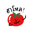 Mr. tomato :-)