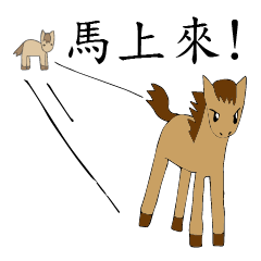 Horse : Equus ferus