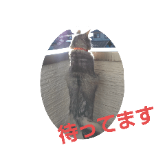 まつげのスタンプ