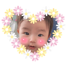 aoi_20220415015840