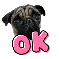 HANACHAN's prettysticker