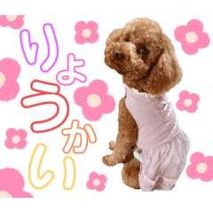 rina_20220415005439
