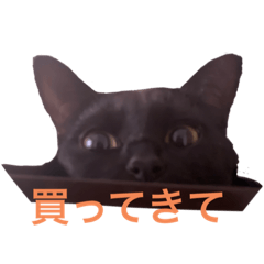 Tono_20220415061018