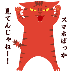 daily life of YORIMICHI cat 2 [Family]