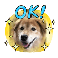 cherry_20220415120521