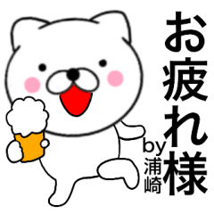 Name cat Urasaki