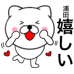 Name cat Urata