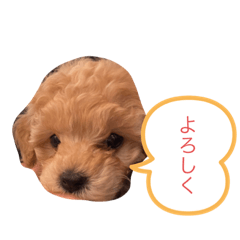 YUINA_20220415140700