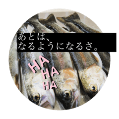 miki_20220415153343