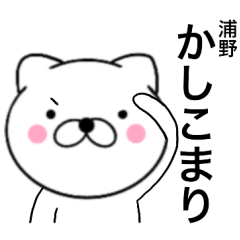 Name cat Urano