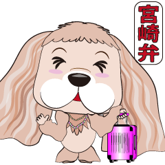 Miyazaki dialect cocker spaniel