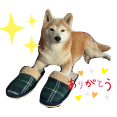 RINGO_20220415200425