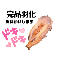 nnk&is_20220413222341