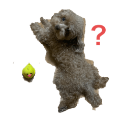 maichi_20220415194300