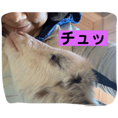 sayuri_20220415203452