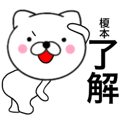 Name cat Enomoto